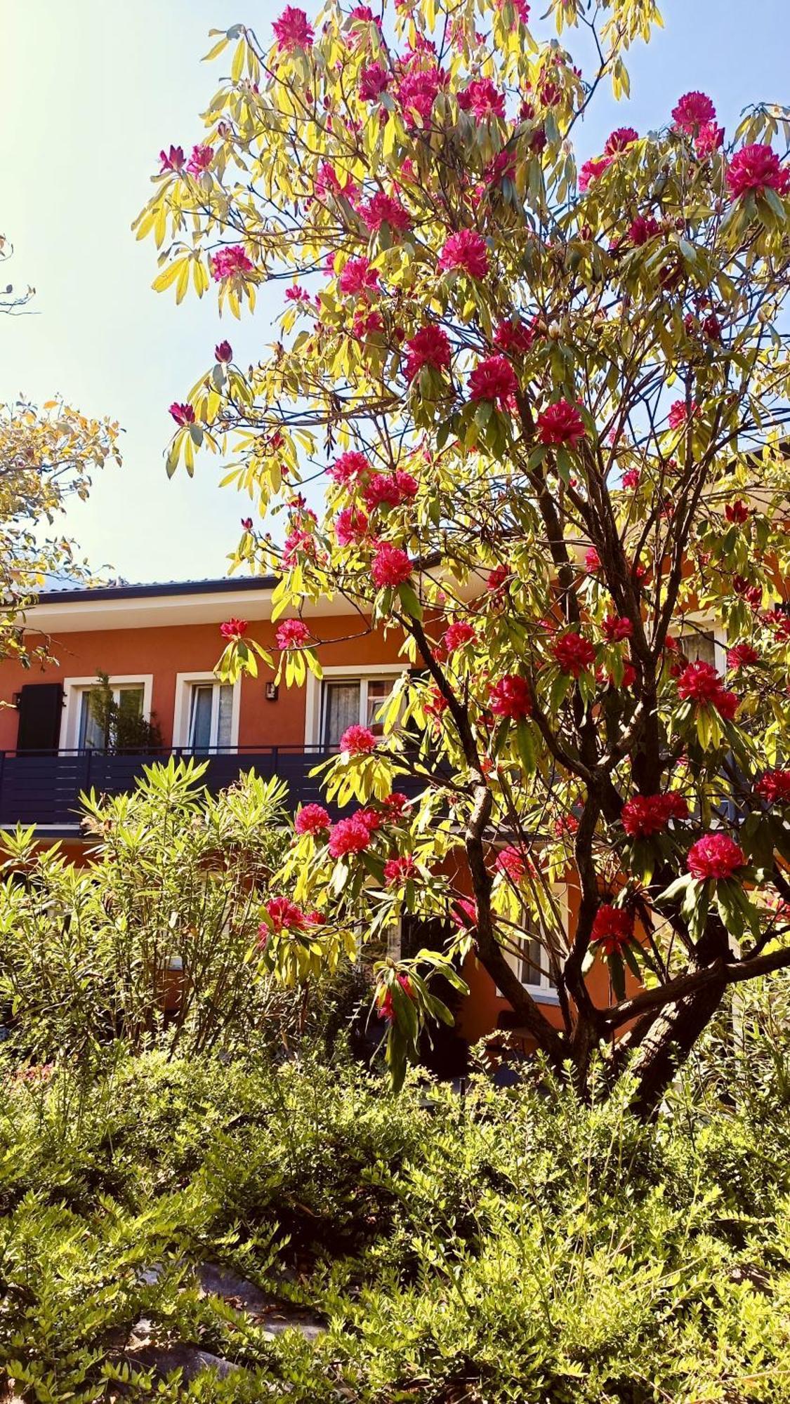 Hotel Villa Cuserina 카노비오 외부 사진